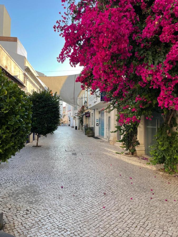 Janelas Verdes 37 FAO Dış mekan fotoğraf